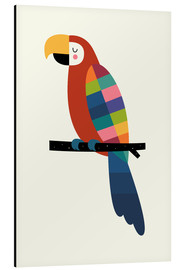 Quadro em alumínio  Rainbow Parrot - Andy Westface