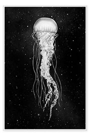 Póster  space jelly - Terry Fan