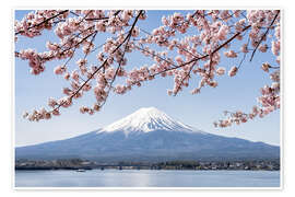 Póster Mountain Fuji and cherry blossom at lake Kawaguchiko, Japan