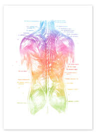 Póster  Músculos das costas arco-íris - Mod Pop Deco