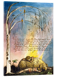 Quadro em acrílico  America a Prophecy - William Blake