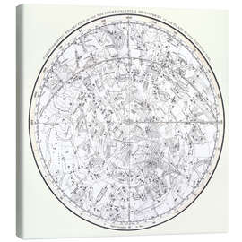 Quadro em tela  Southern Celestial Hemisphere - Alexander Jamieson
