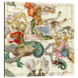 Quadro em alumínio  Celestial Atlas, plate 2 - Ignace Gaston Pardies