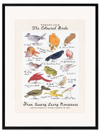 Impressão artística com moldura  The Coloured Birds Compilation (From Queery Leary Nonesense) - Edward Lear